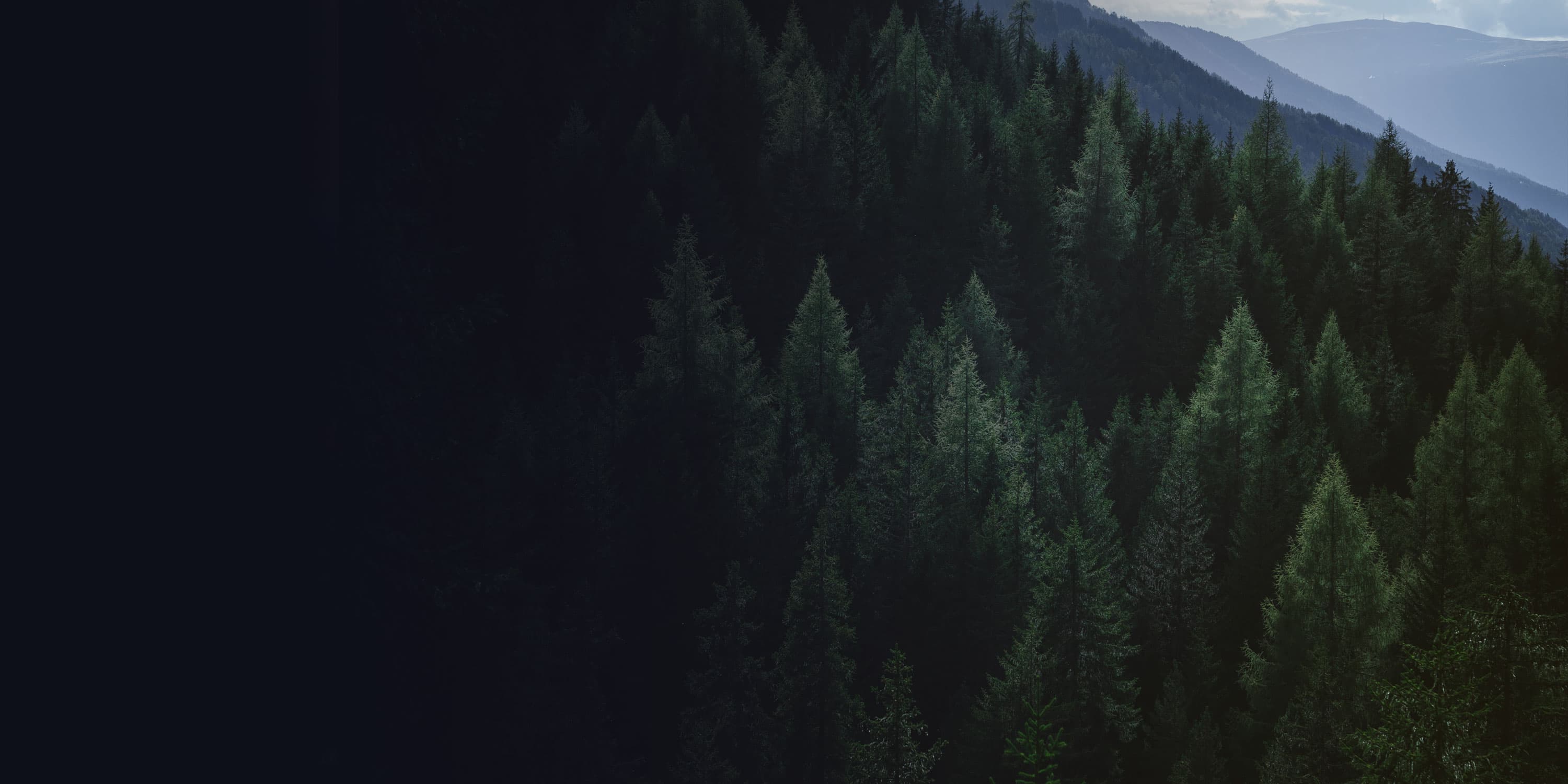 Aerial view of a forested mountain valley