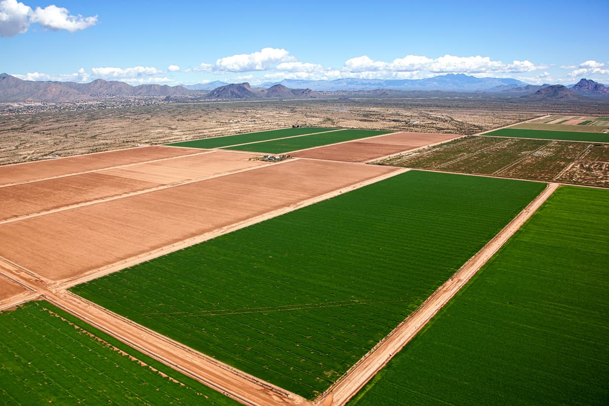 Aerial view of green and plowed farm fields
