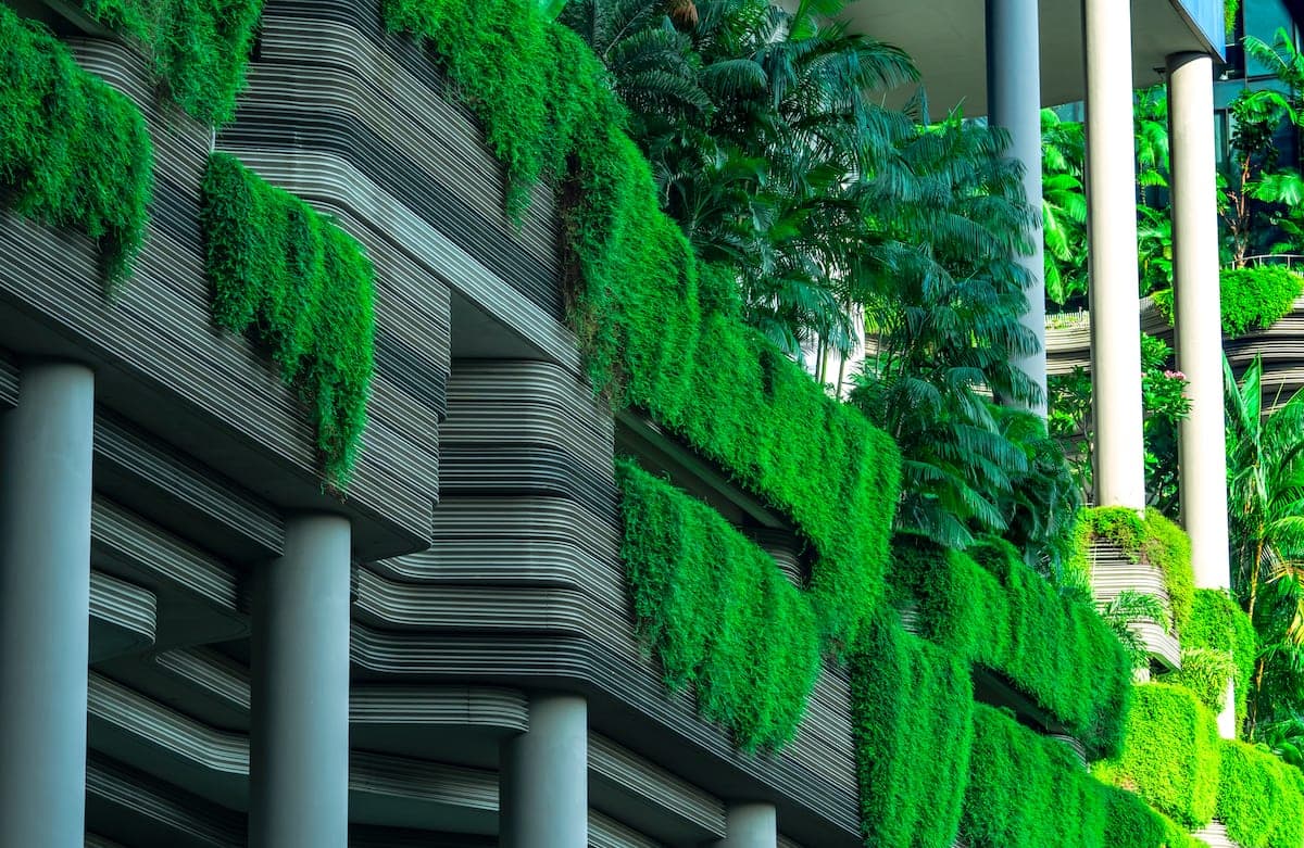 Building facade covered in green plants
