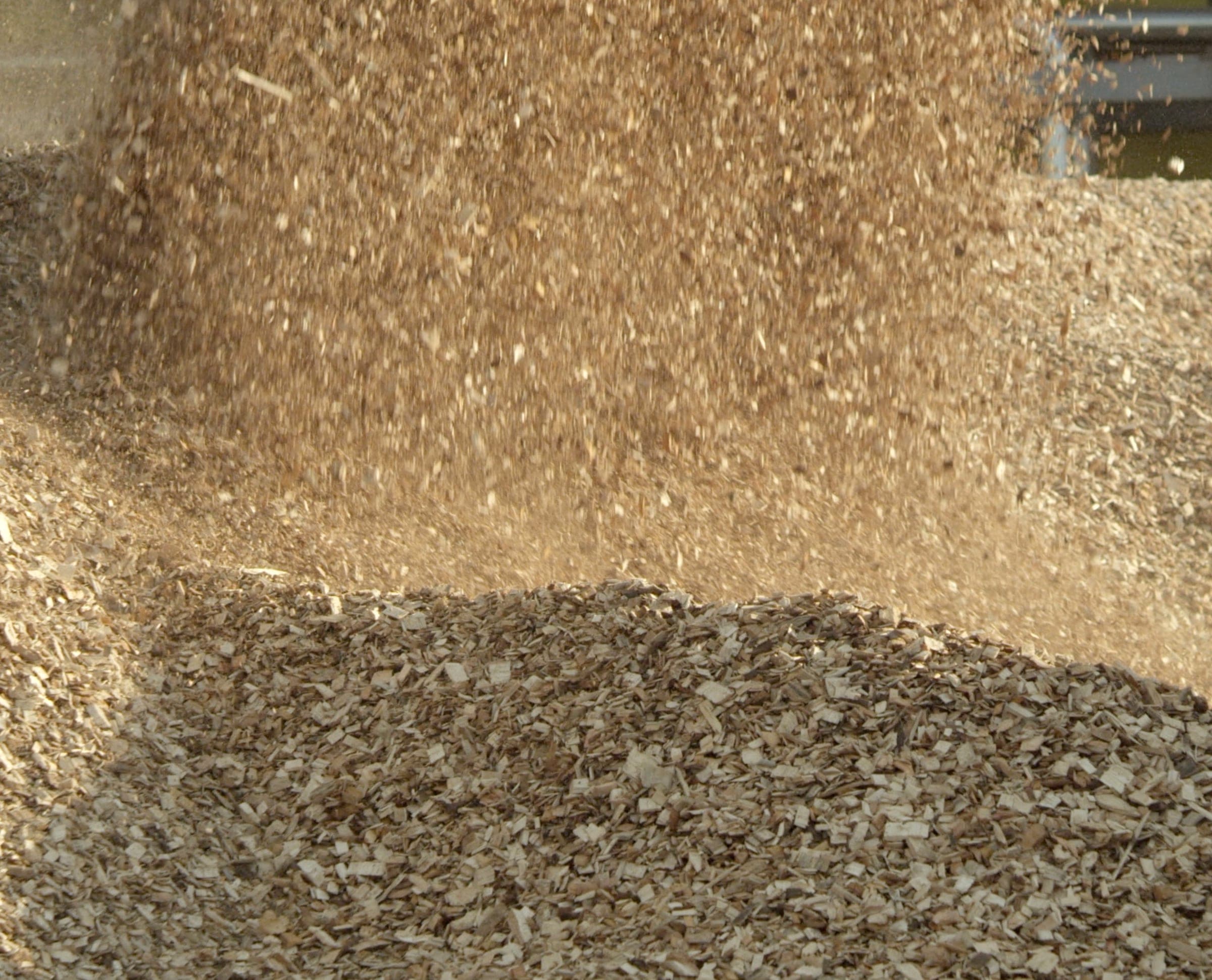 Waste wood chips pouring onto a pile