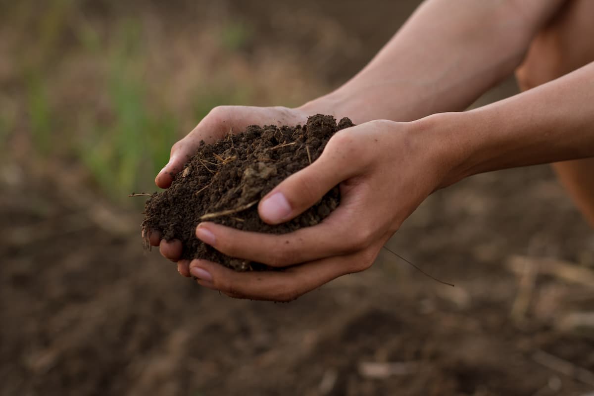 Hands holding a scoop of rich soil