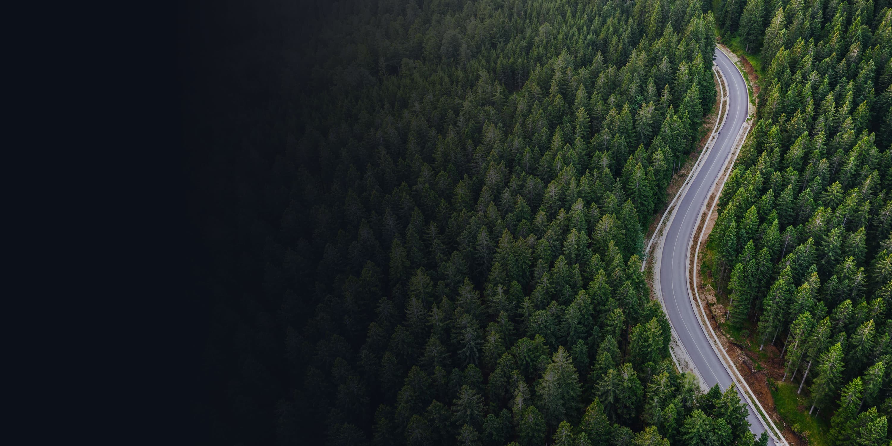 Aerial view of a road curving through a pine forest